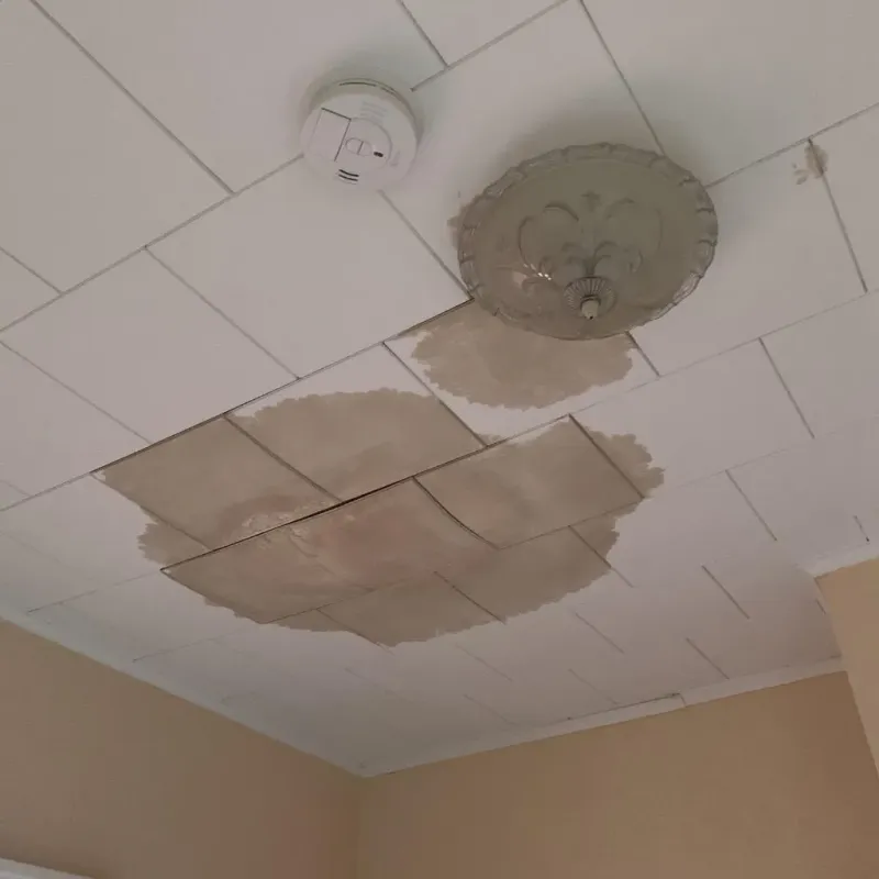 Ceiling Water Damage Repair in Schnecksville, PA