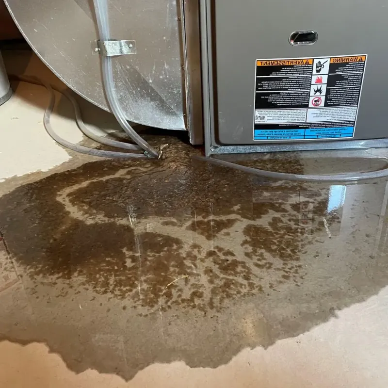 Pipe Burst and Leak Restoration in Schnecksville, PA