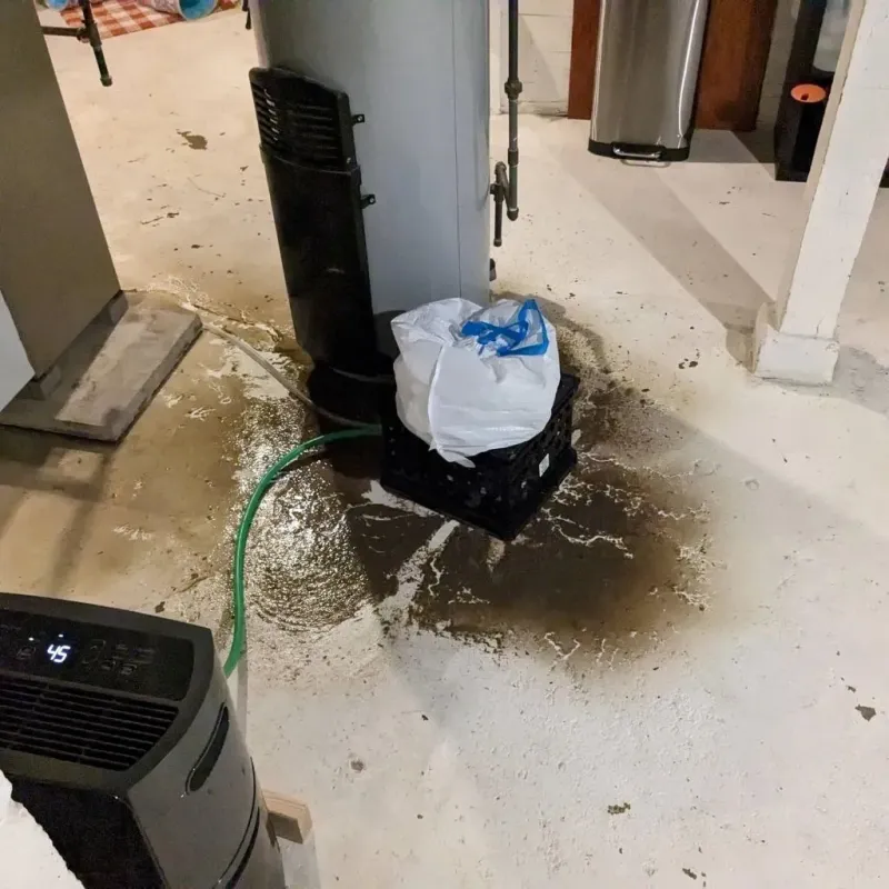 Sewage Backup Cleanup Service in Schnecksville, PA